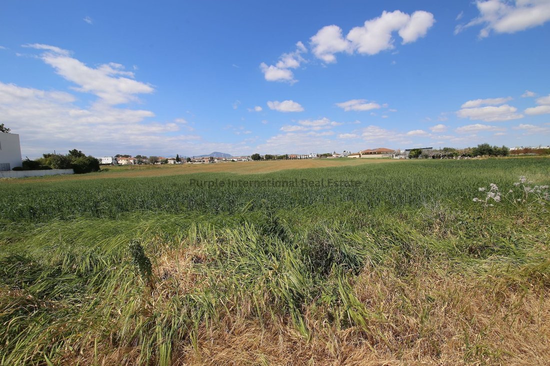 Land in Kiti, Larnaca, Cyprus 1 - 16711983