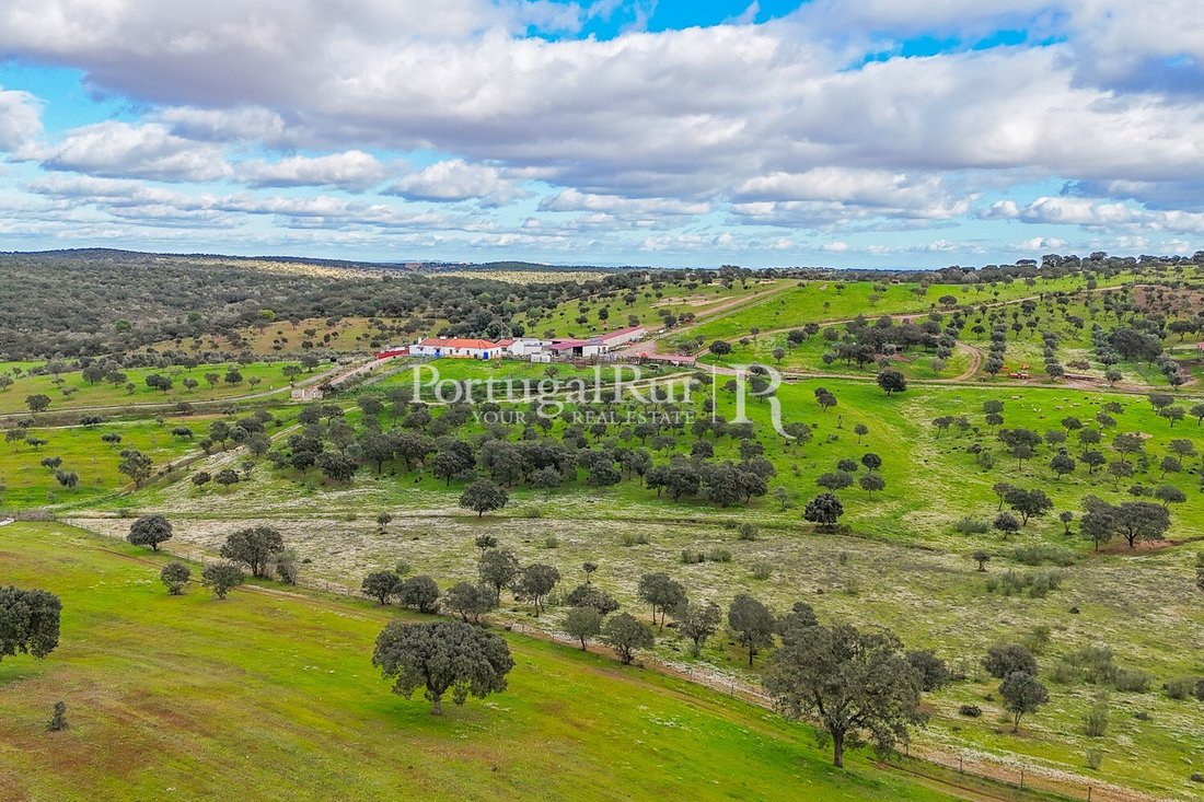 Estate in Sao Mancos e Sao Vicente do Pigeiro, Évora District, Portugal 5 - 15348500