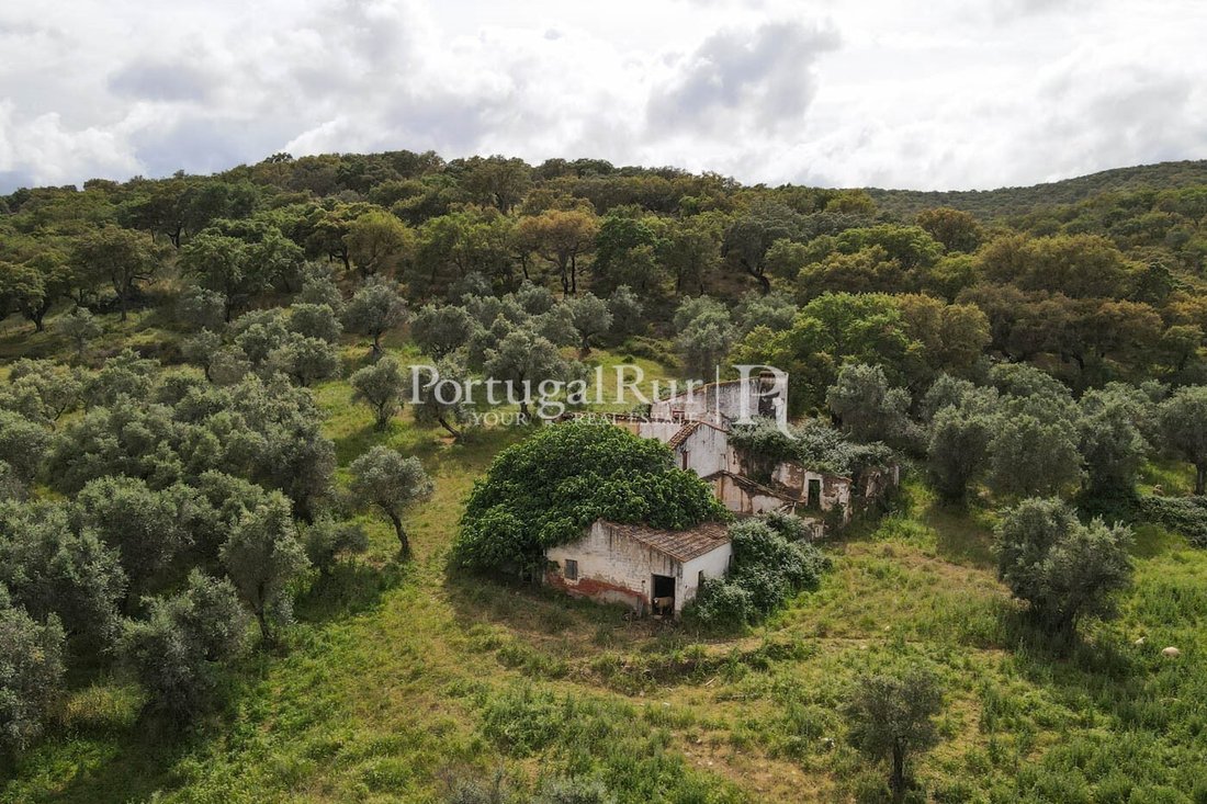 Estate in Borba (Matriz), Évora District, Portugal 2 - 14869555