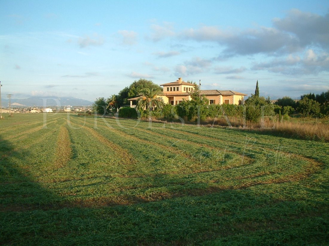 Land in Palma, Balearic Islands, Spain 1 - 14940604
