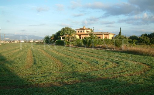 Terreno a Palma di Maiorca, Isole Baleari, Spagna 1