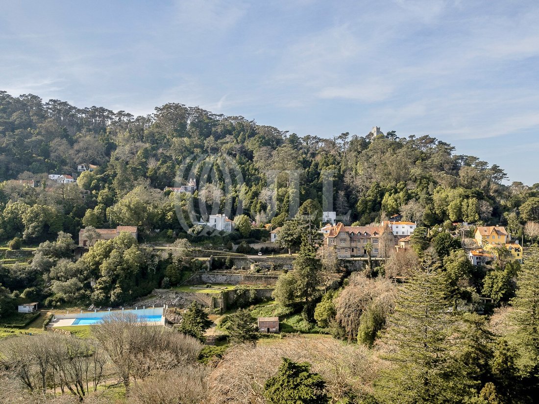 Finca in Sintra, Lisbon, Portugal 5 - 14116578