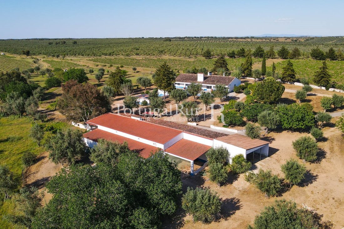 Estate in Galveias, Portalegre District, Portugal 3 - 14876612