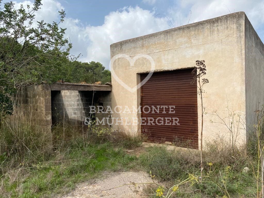 Finca in Spain 3 - 13285979