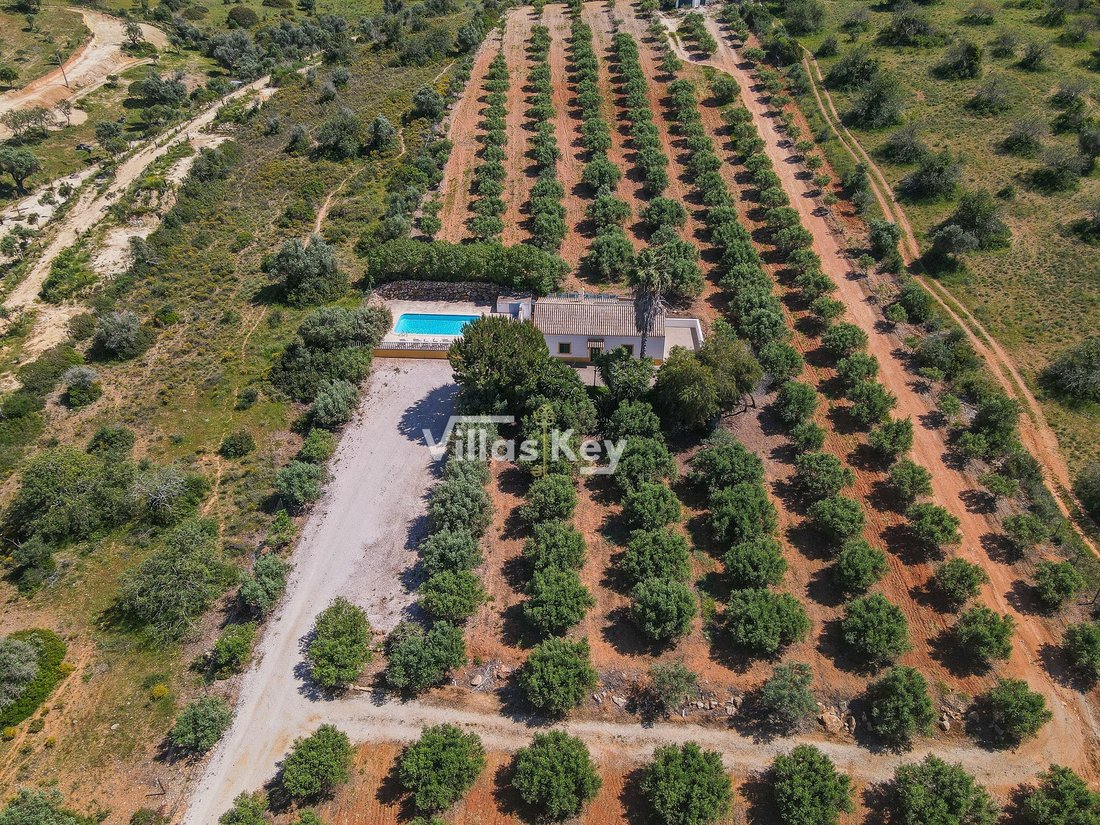 Finca in Lagoa e Carvoeiro, Algarve, Portugal 1 - 15264587