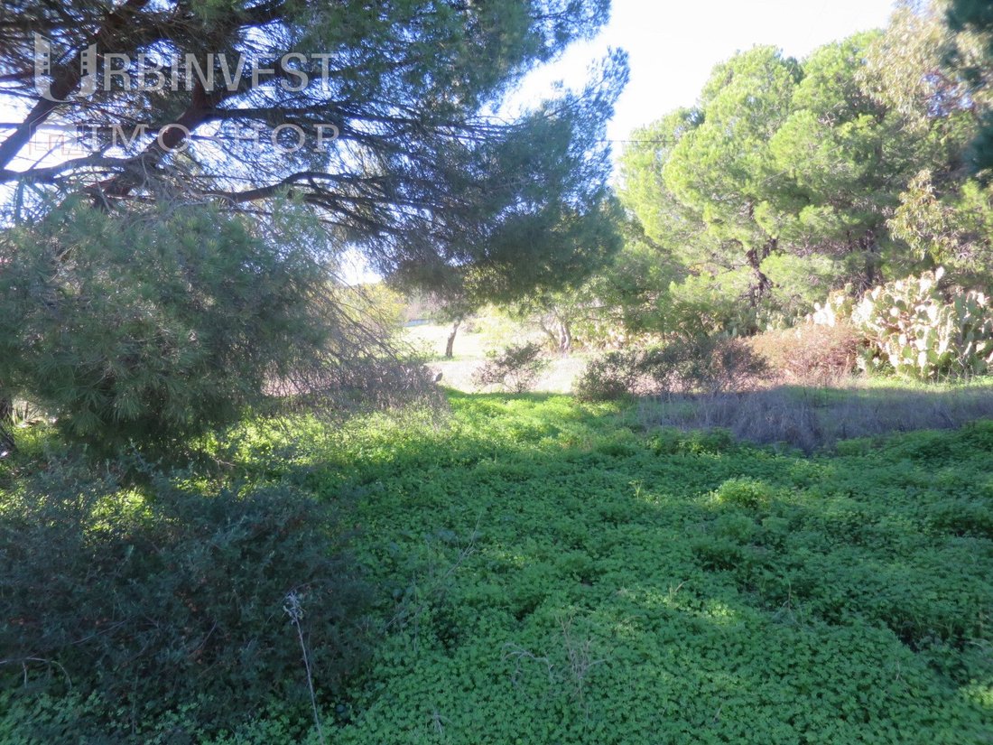 Land in Quarteira, Algarve, Portugal 4 - 12312078