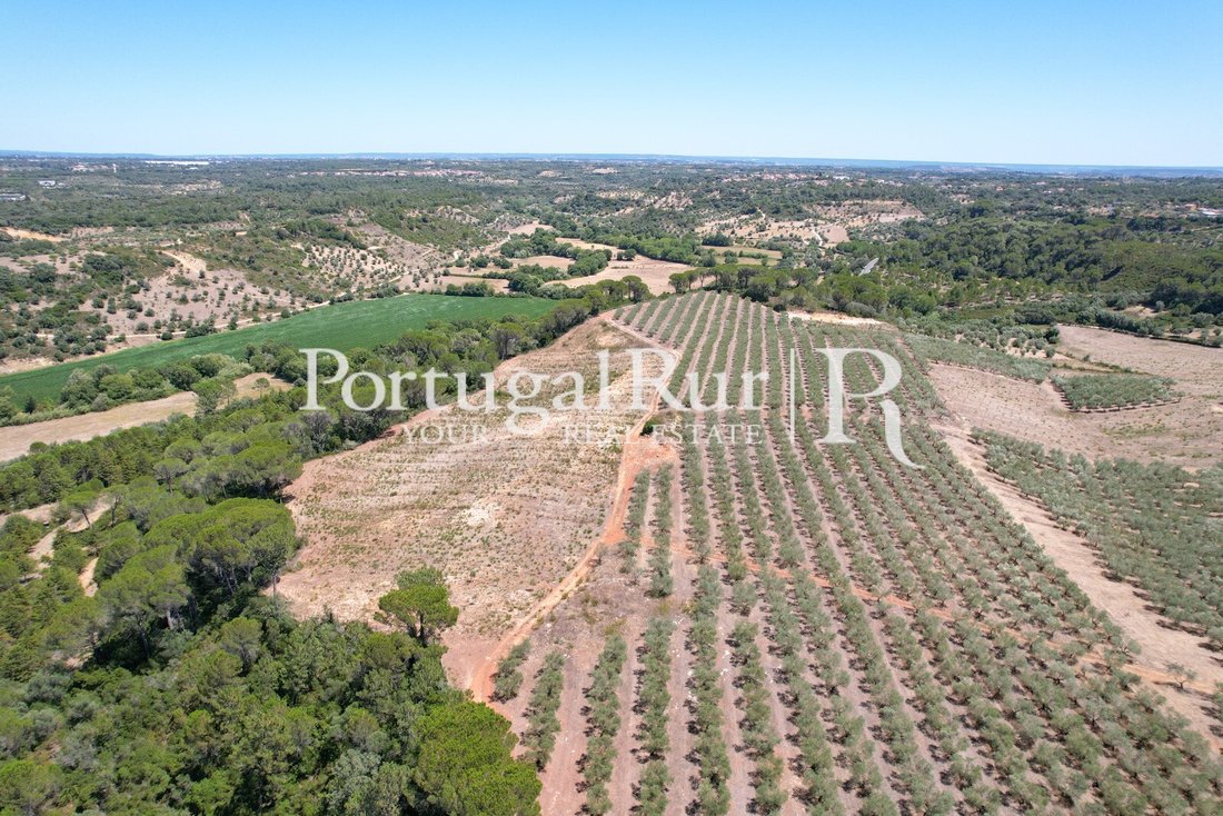Finca in Malhou, Louriceira e Espinheiro, Santarem District, Portugal 5 - 15118129