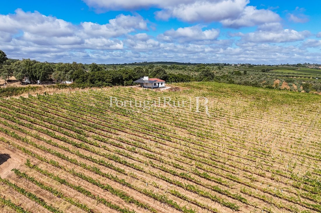 Finca in Nossa Senhora da Conceicao e Sao Bartolomeu, Évora District, Portugal 4 - 16147502