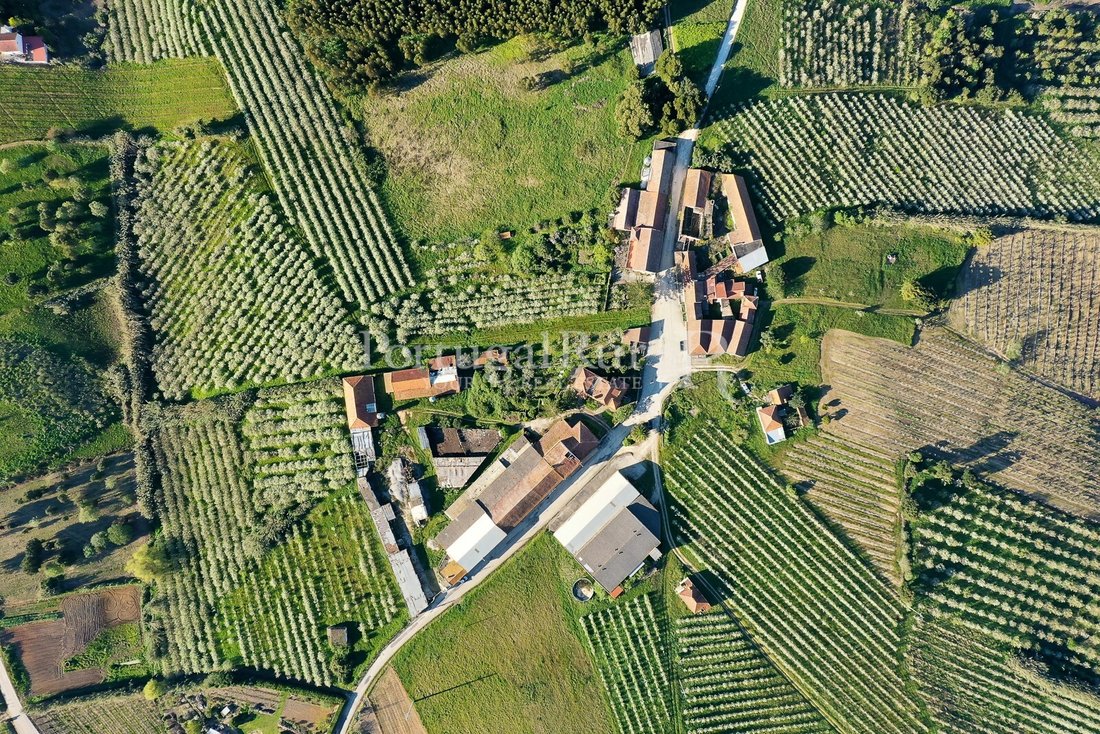 Finca à Carvalhal, Leiria, Portugal 5 - 14168343