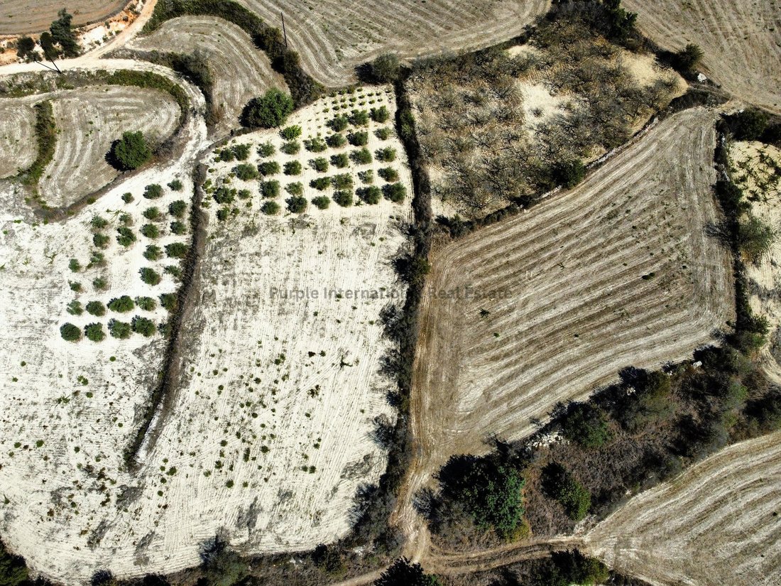 Koili, Paphos, Cyprus 4 - 16712204