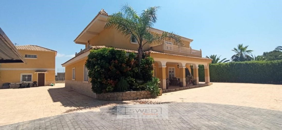 Finca in Elx / Elche, Valencian Community, Spain 1 - 14295745