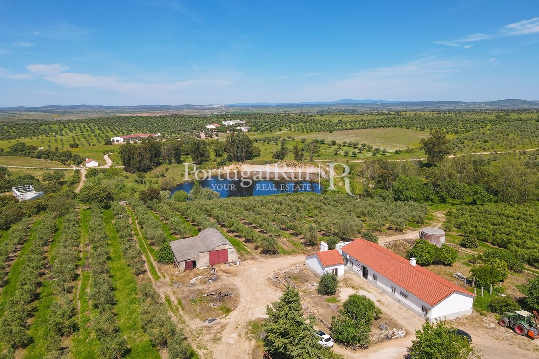 Estate in Fronteira, Portalegre District, Portugal 3 - 14168355