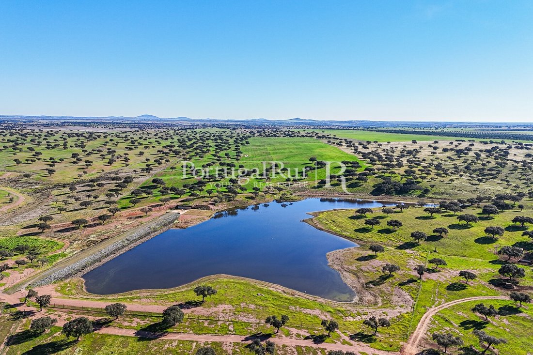 Estate in Beja (Salvador e Santa Maria da Feira), Beja District, Portugal 3 - 14869585