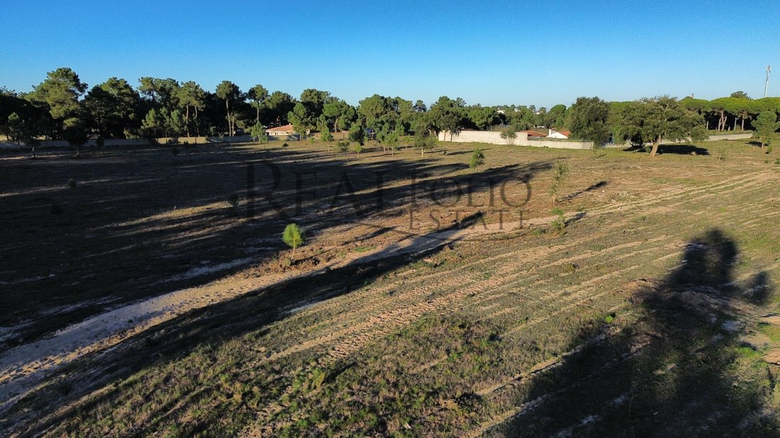 Land in Azeitao (Sao Lourenco e Sao Simao), Setubal, Portugal 5 - 15849354