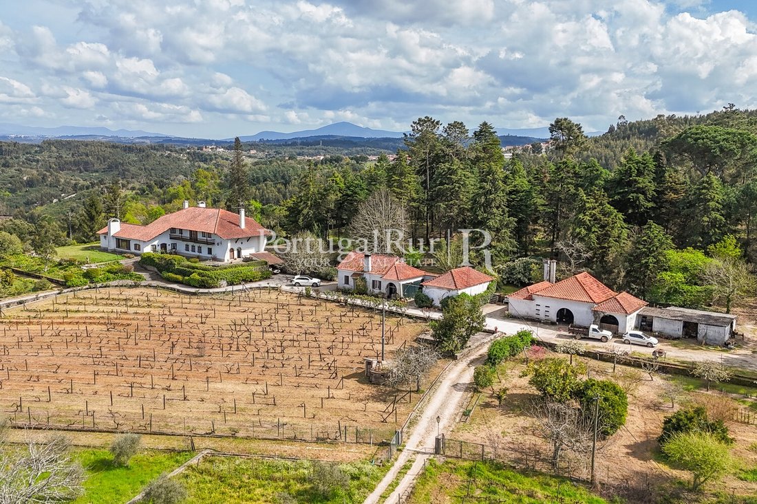 Finca in Tabua, Coimbra District, Portugal 5 - 15474641
