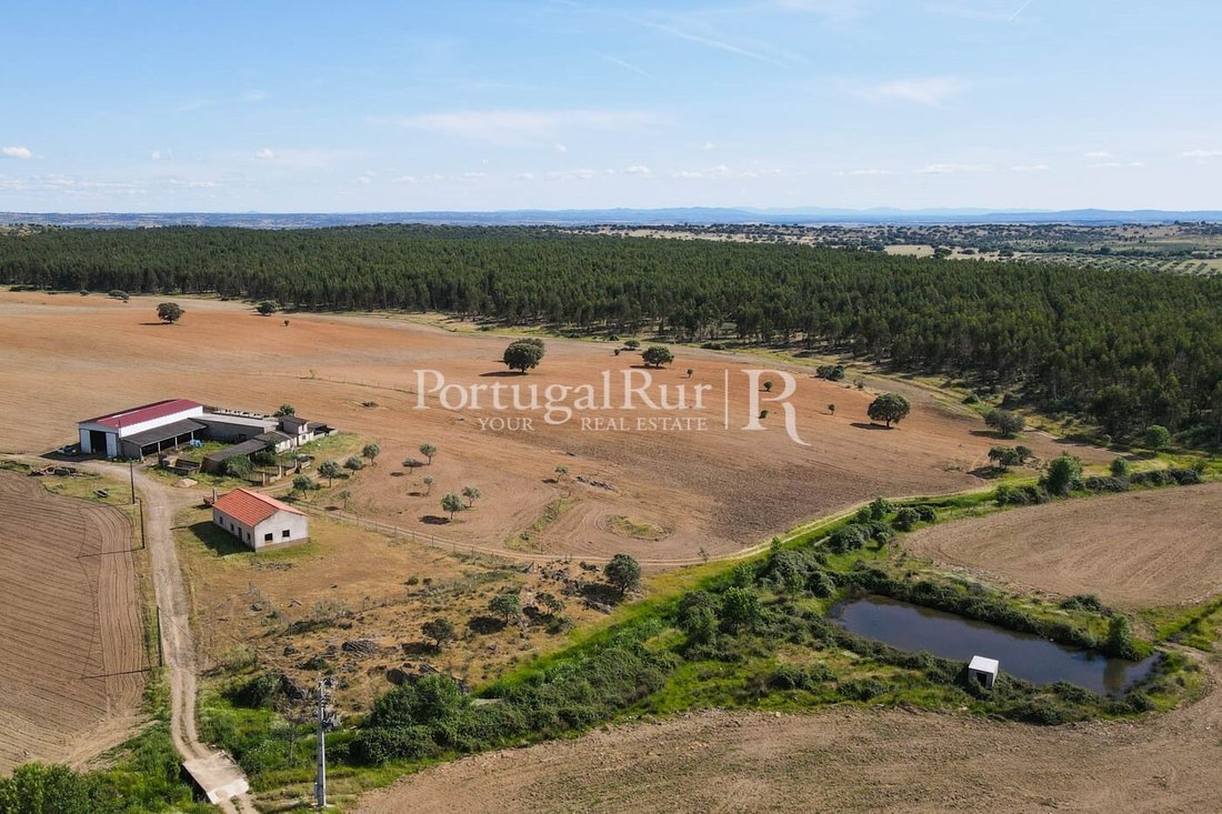 Estate in Idanha-a-Nova e Alcafozes, Castelo Branco District, Portugal 2 - 14876596