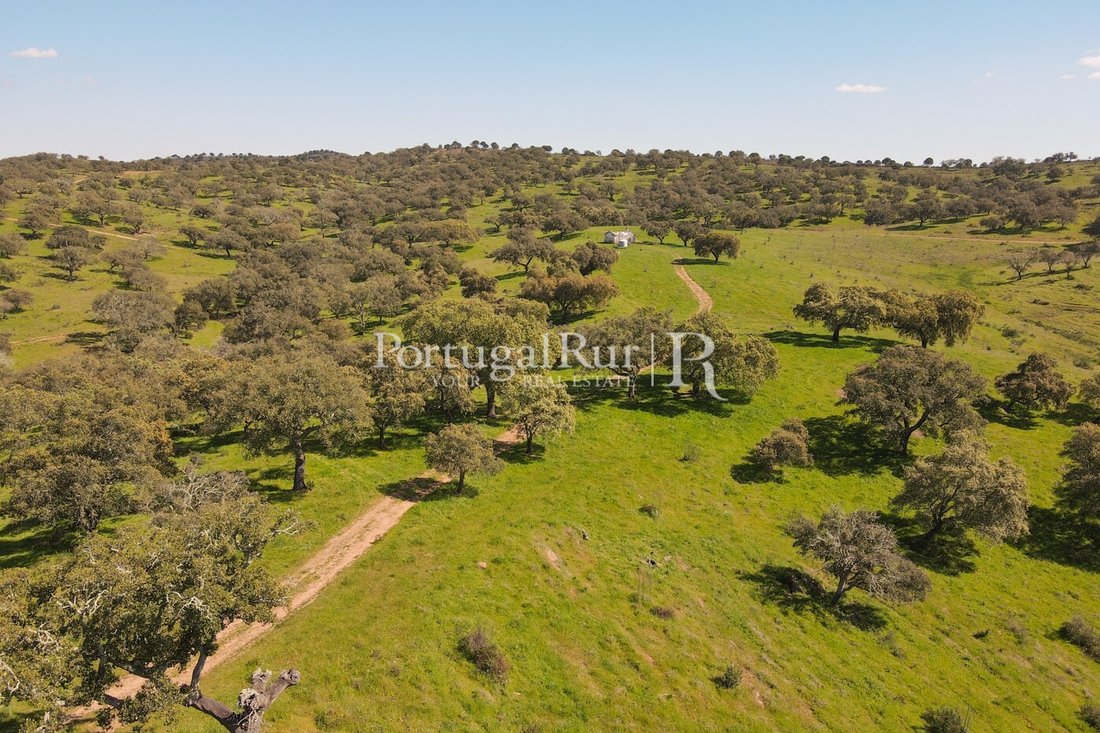Estate in Santo Aleixo da Restauracao, Beja District, Portugal 5 - 14859046