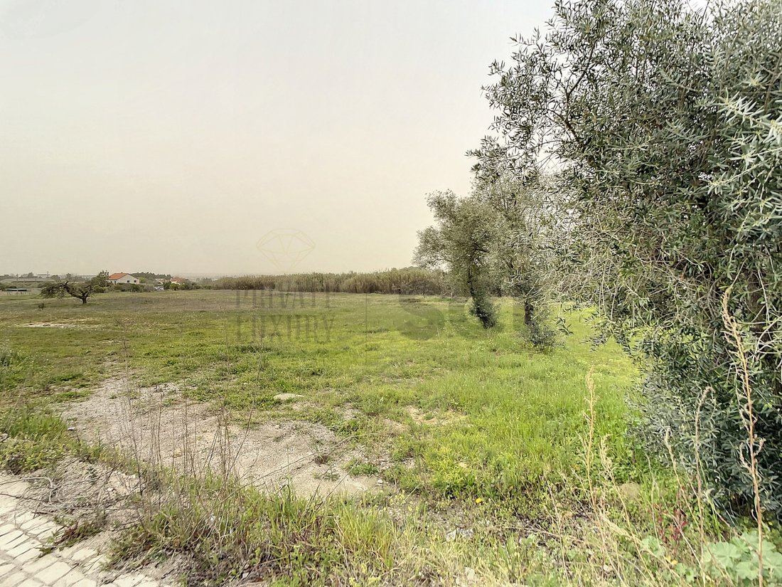 Land in Quinta do Anjo, Setubal, Portugal 1 - 15306941