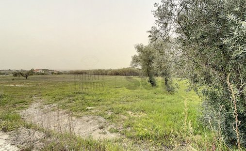 Terreno a Quinta do Anjo, Setúbal Municipality, Portogallo 1