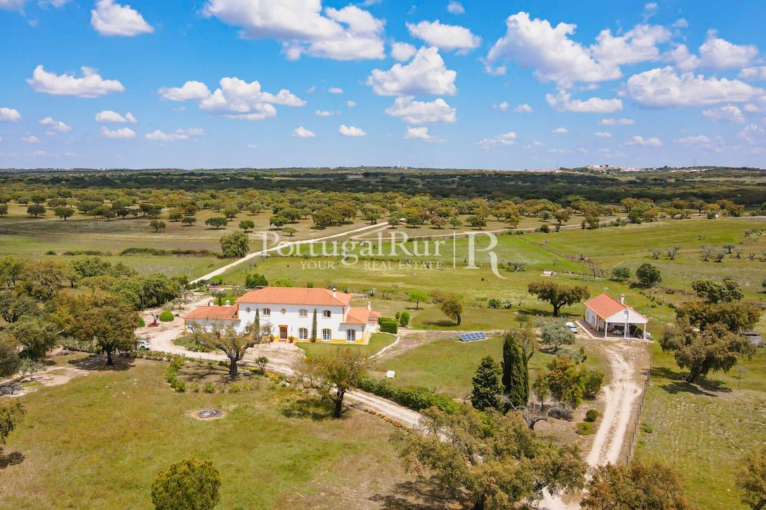 Finca in Pavia, Évora District, Portugal 4 - 14984050