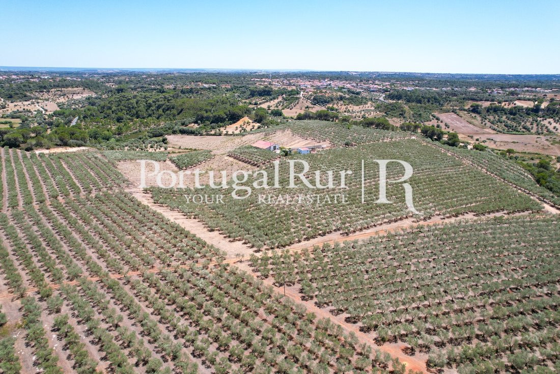Finca in Malhou, Louriceira e Espinheiro, Santarem District, Portugal 2 - 15118129