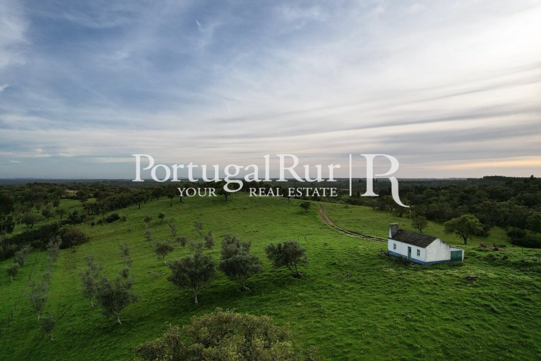 Finca in Santiago do Cacem, Santa Cruz e Sao Bartolomeu da Serra, Setubal, Portugal 1 - 14483675