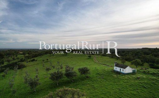 Finca in Santiago do Cacem, Santa Cruz e Sao Bartolomeu da Serra, Setubal, Portugal 1