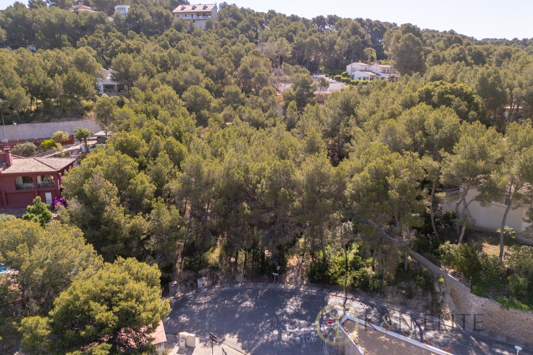 Terreno en Chiva, Comunidad Valenciana, España 1 - 15733746