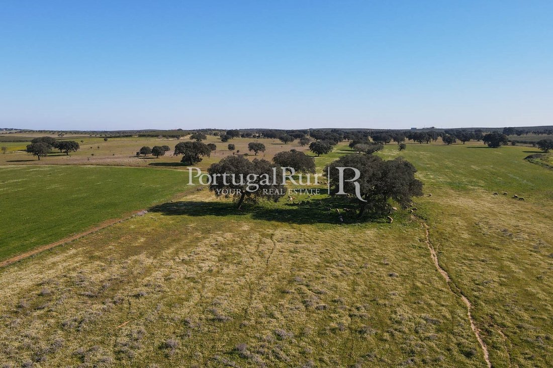 Finca in Benavila, Portalegre District, Portugal 5 - 14864333