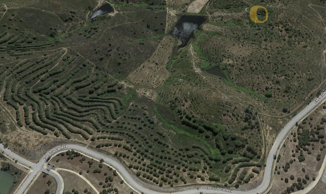 Land in Mexilhoeira Grande, Algarve, Portugal 3 - 15711217
