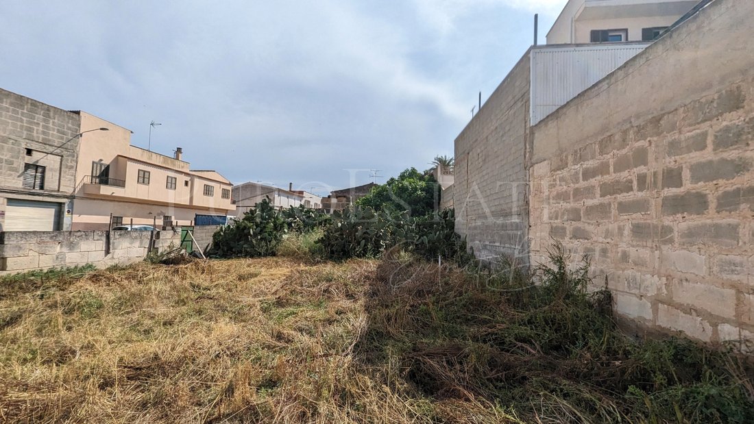 Land in Manacor, Balearic Islands, Spain 2 - 15391179