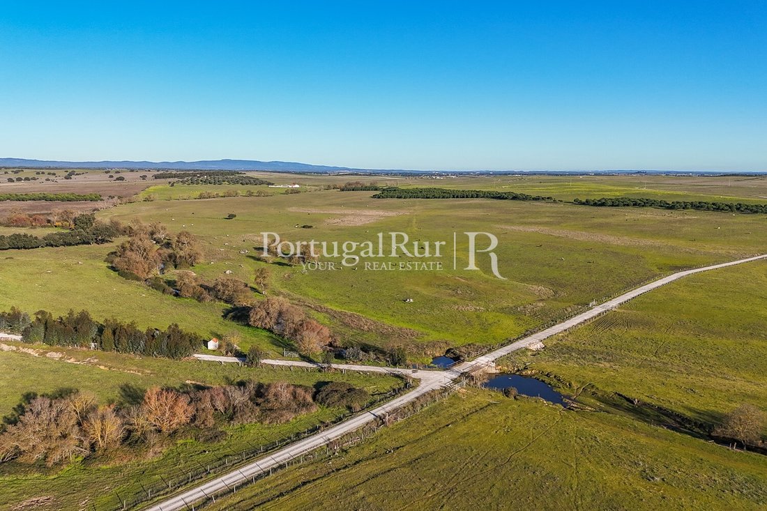 Estate in Evora (Sao Mamede, Se, Sao Pedro e Santo Antao), Évora District, Portugal 3 - 15238577
