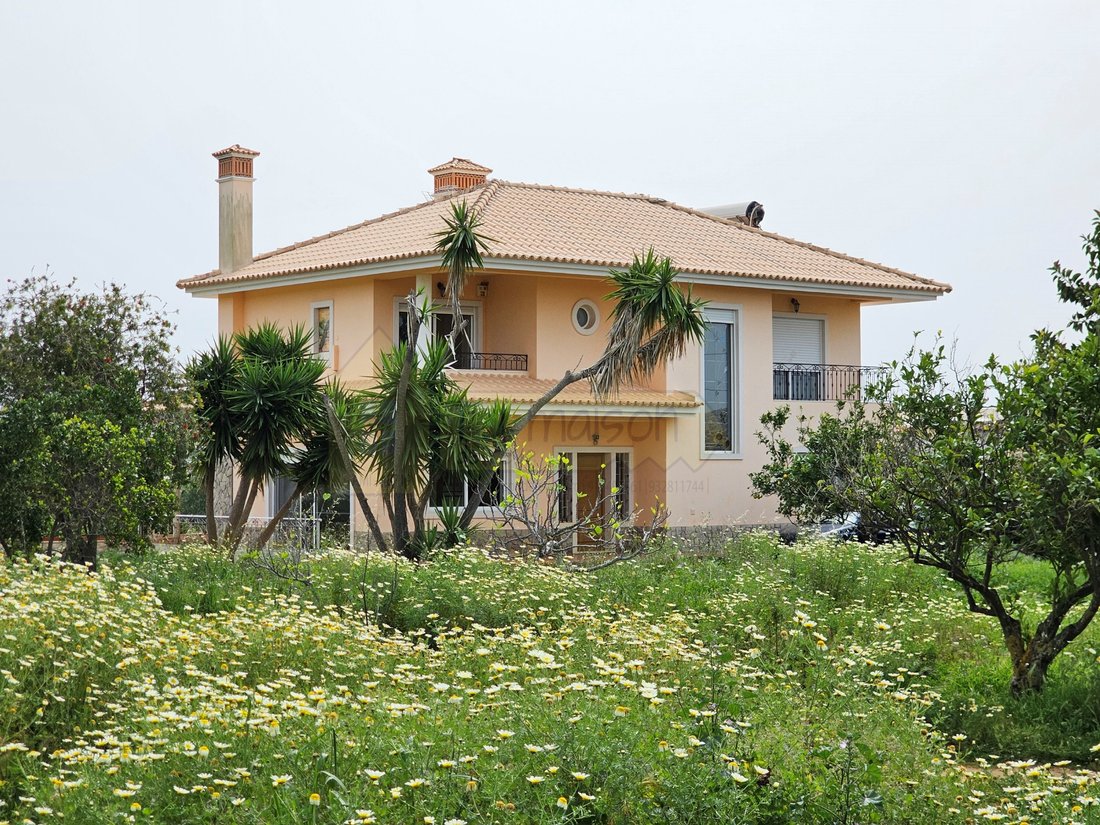 House in Estoi, Algarve, Portugal 2 - 13983722