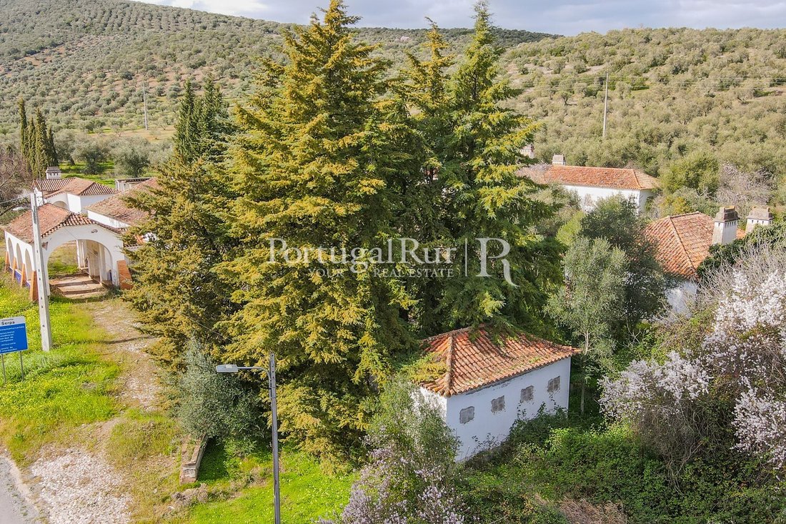 Country House in Vila Verde de Ficalho, Beja District, Portugal 3 - 14864356