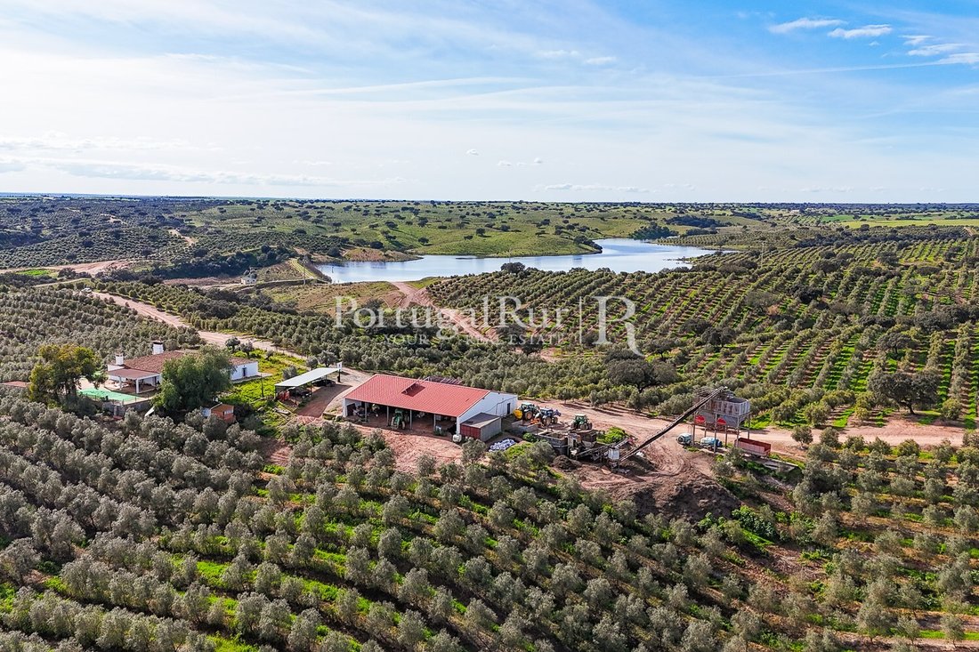 Estate in Cabeca Gorda, Beja District, Portugal 4 - 16472537