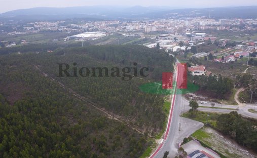 Land in Rio Maior, Santarem District, Portugal 1