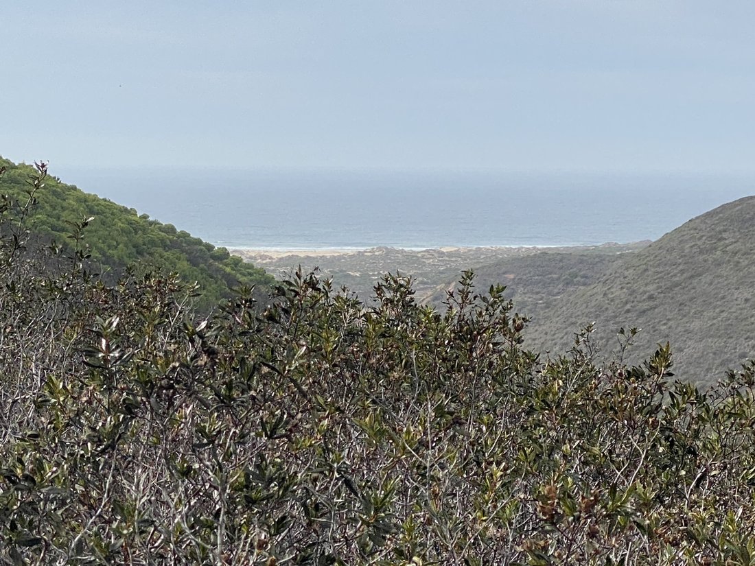 Terreno a Bordeira, Algarve, Portogallo 1 - 16392726