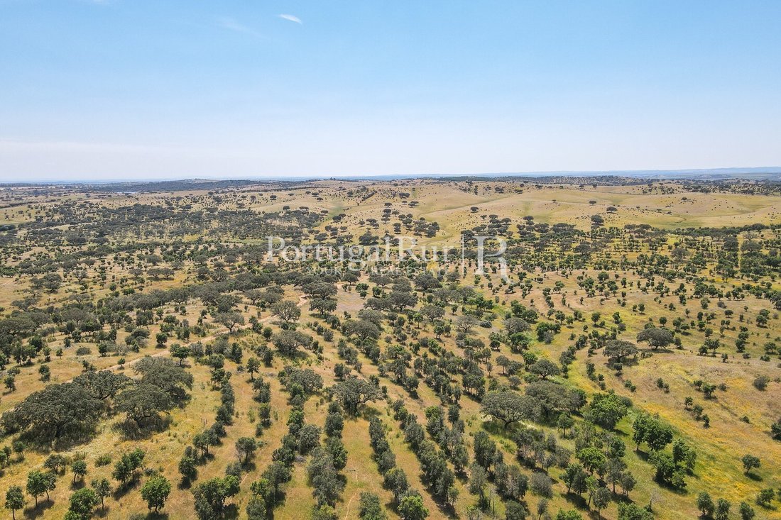 Land in Corval, Évora District, Portugal 4 - 15487088