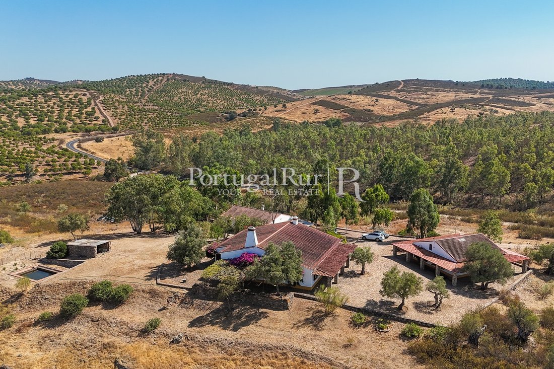Finca in Albernoa e Trindade, Beja District, Portugal 2 - 16104260