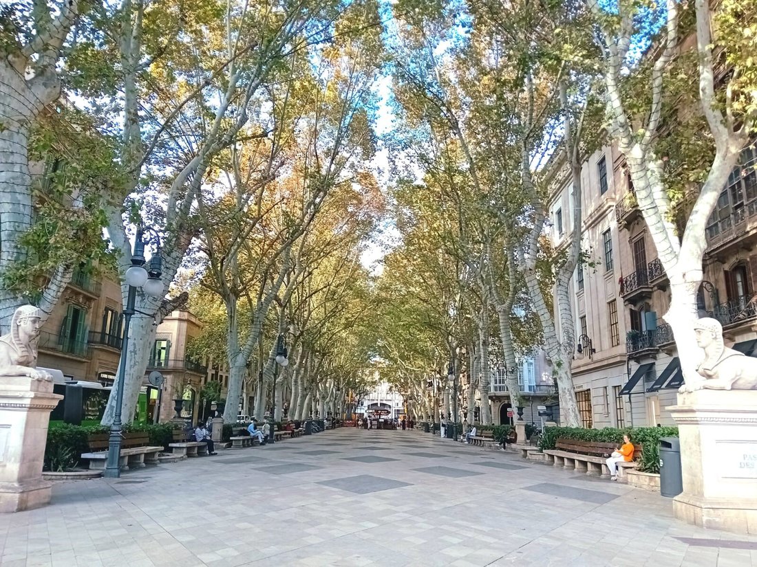 Apartment in Palma, Balearic Islands, Spain 3 - 15172043