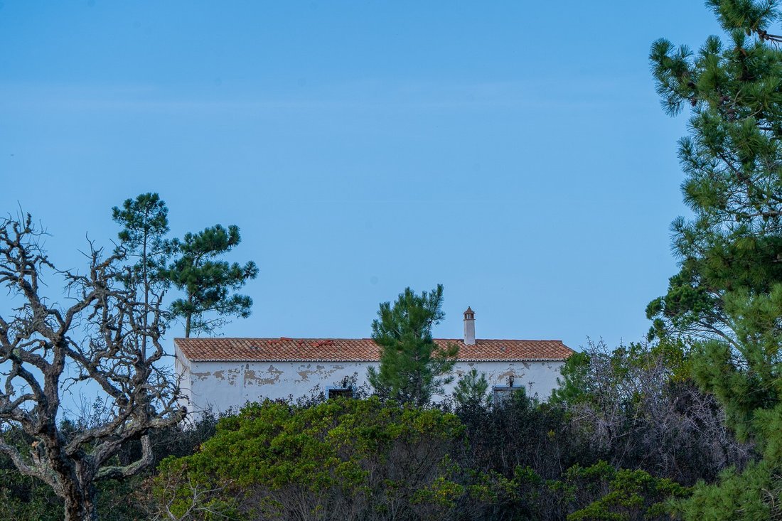 Finca in Aljezur, Algarve, Portugal 4 - 16392809