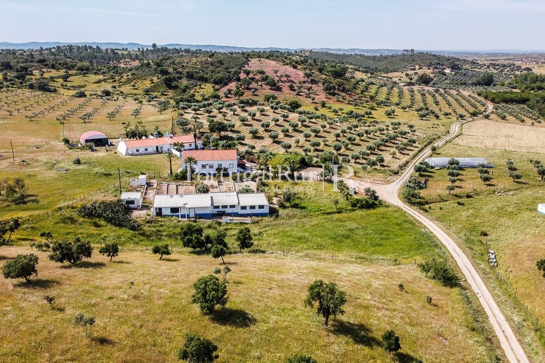 Estate in Sao Mancos e Sao Vicente do Pigeiro, Évora District, Portugal 3 - 10676976