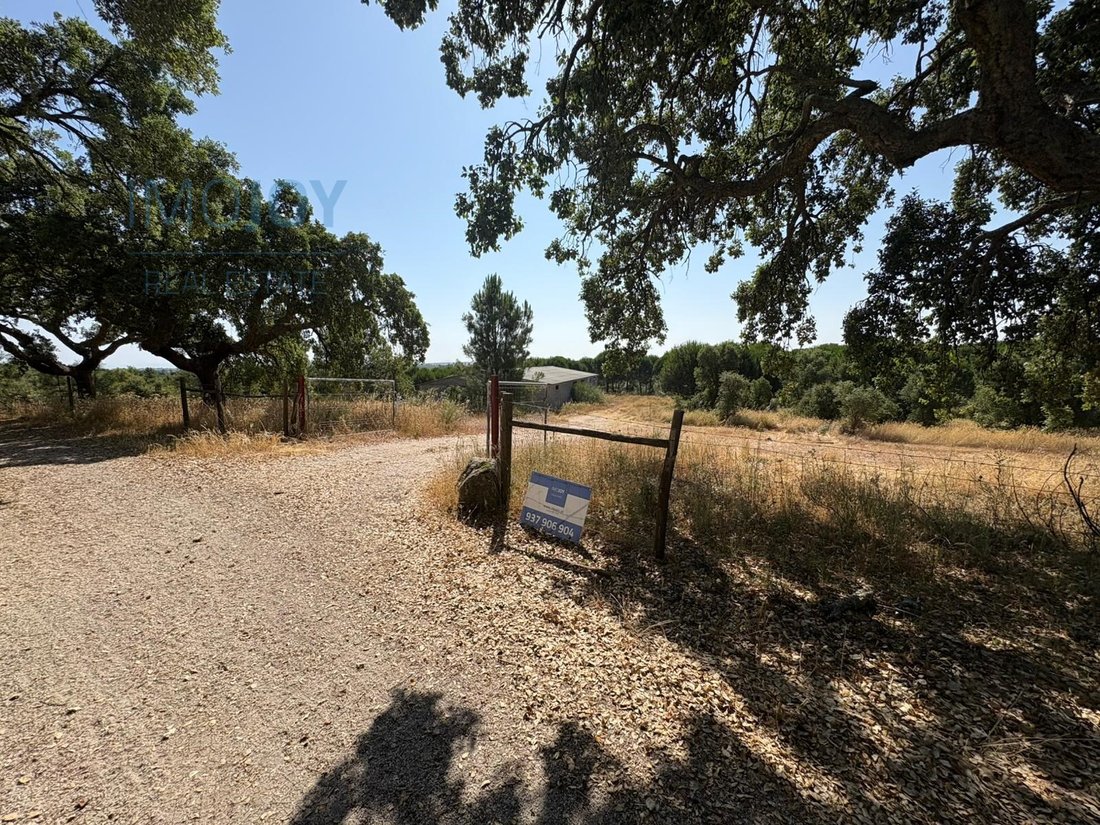 Land in Sao Vicente da Beira, Castelo Branco District, Portugal 2 - 14077852