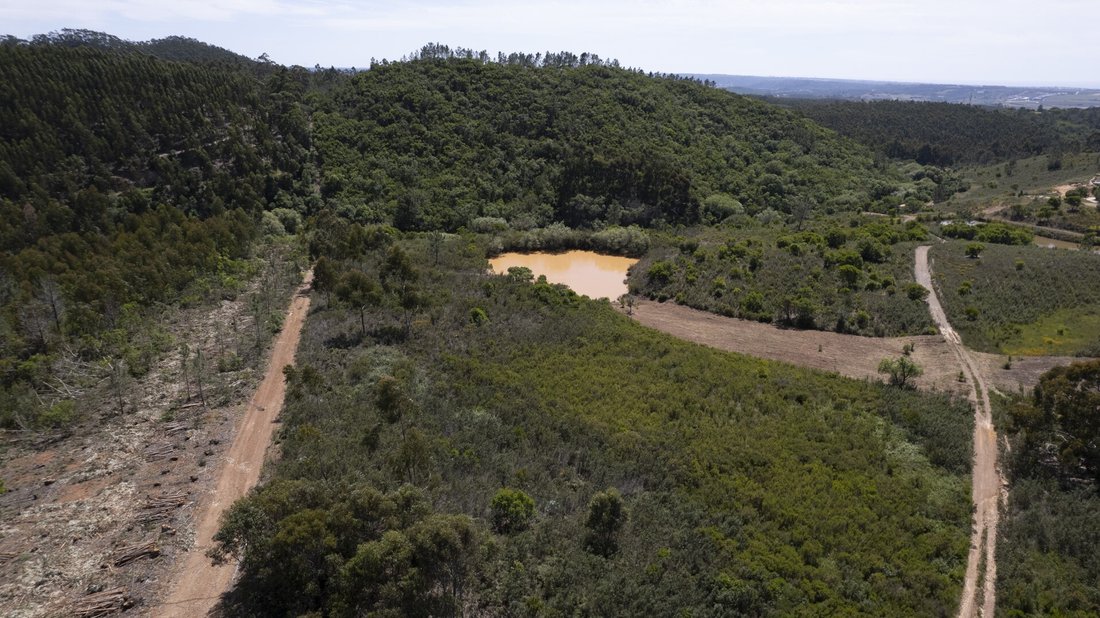 Land in Rogil, Algarve, Portugal 3 - 16392614
