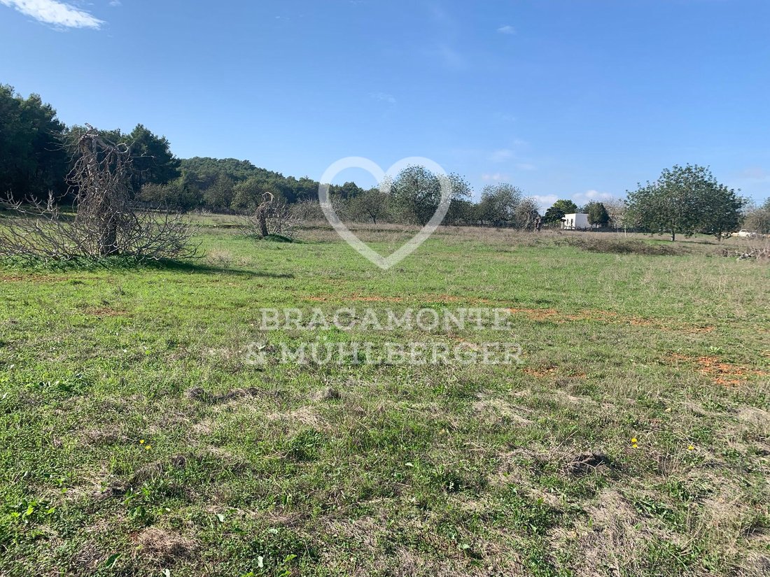 Land in Santa Gertrudis de Fruitera, Santa Eularia des Riu, Balearic Islands 4 - 14945104