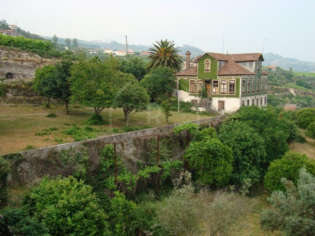 Finca in Santa Cruz do Douro e Sao Tome de Covelas, Porto District, Portugal 1 - 12436170