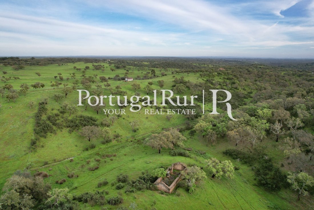 Finca in Santiago do Cacem, Santa Cruz e Sao Bartolomeu da Serra, Setubal, Portugal 4 - 14483675