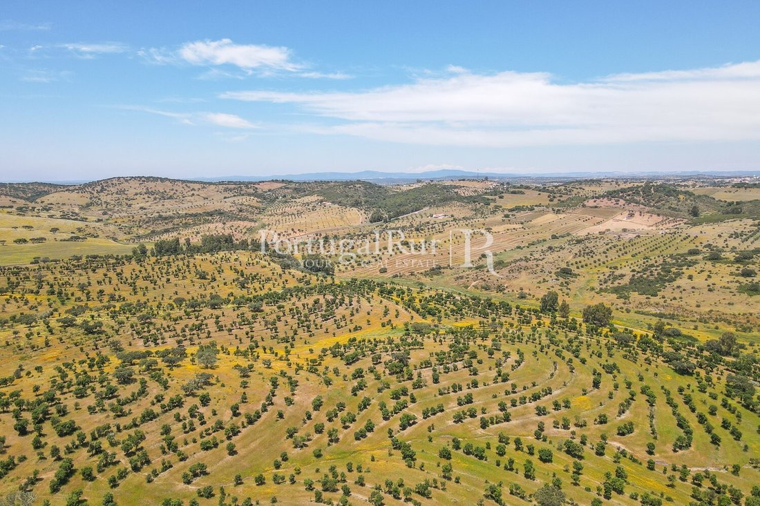 Land in Corval, Évora District, Portugal 3 - 15487088