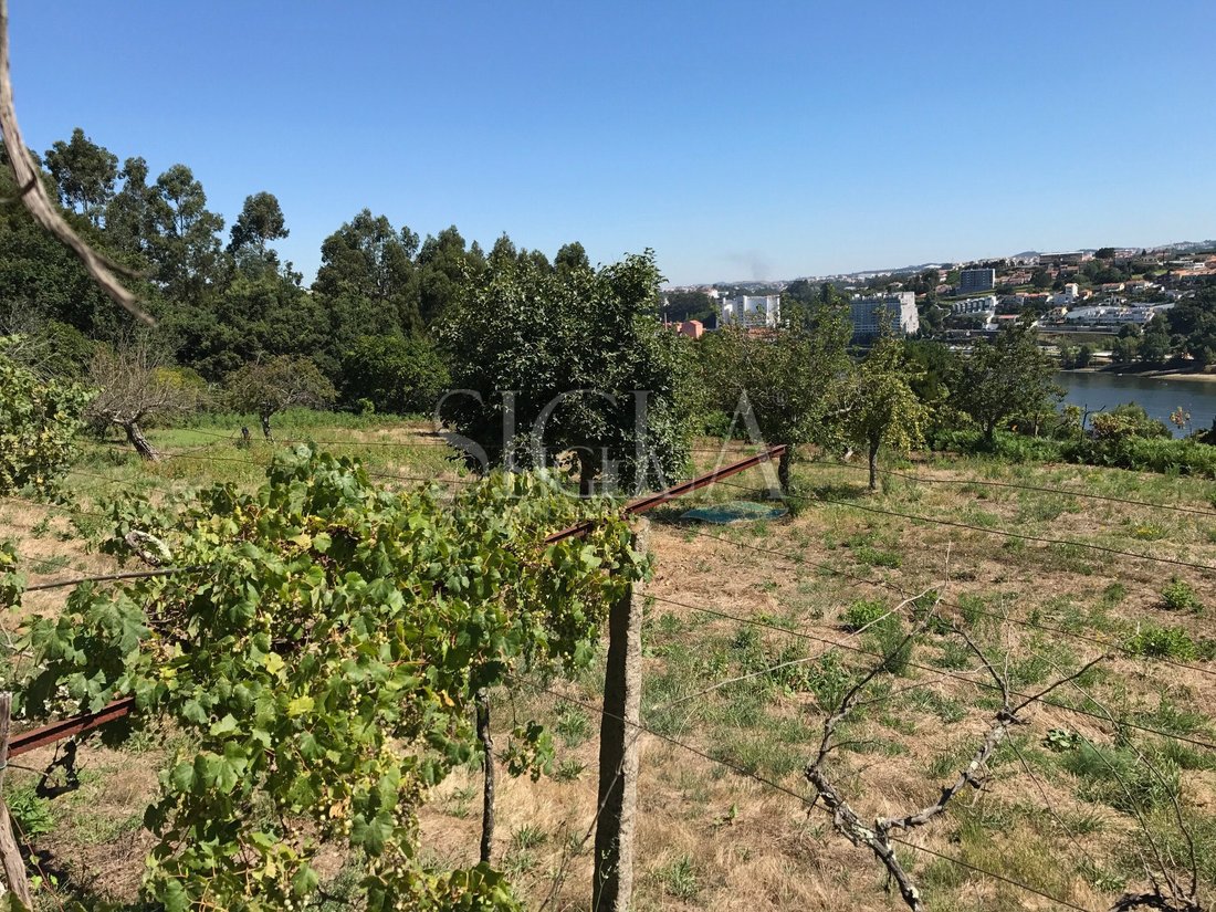 Land in Oliveira do Douro, Porto District, Portugal 3 - 12439335