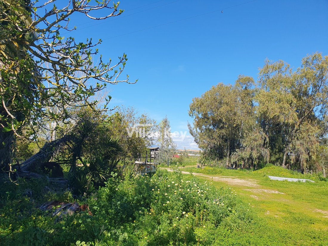 Finca in Odiaxere, Algarve, Portugal 5 - 13978618